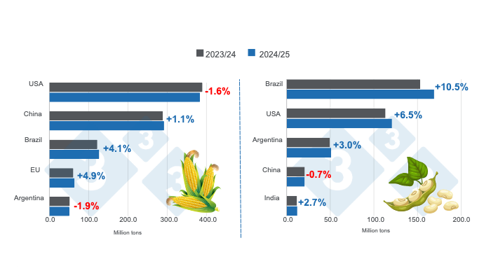 Crop projection for the main world corn and soybean producers - 2024/25 versus 2023/24 season. Prepared by 333 Latin America with FAS - USDA data.